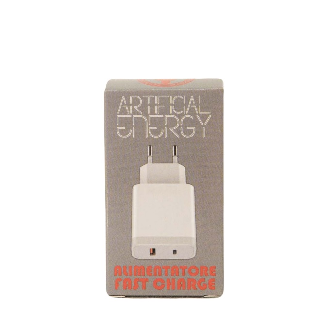 Alimentatore Usb-C Fast Charge Artificial Energy