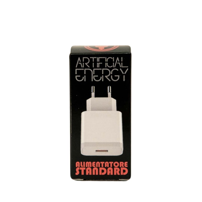 Alimentatore Usb Standard Artificial Energy